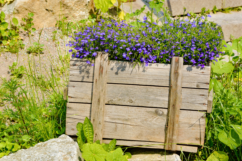 Creative Ways to Tackle Packaging and Cardboard Disposal in Your Home